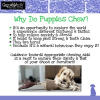 Green and Wild's Puppy Chew-its 80g